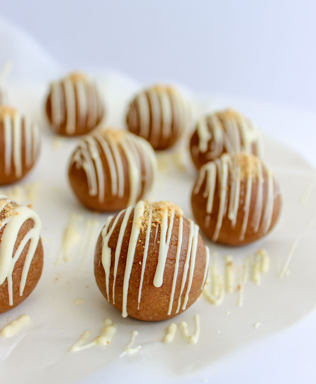 Gingerbread Cookie Protein Ball Mix